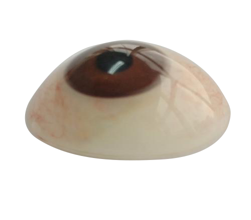 三明微雕义眼定制